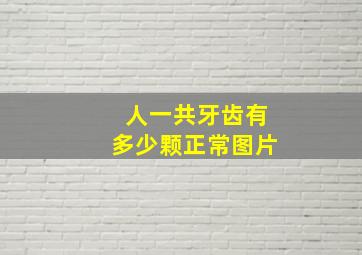 人一共牙齿有多少颗正常图片