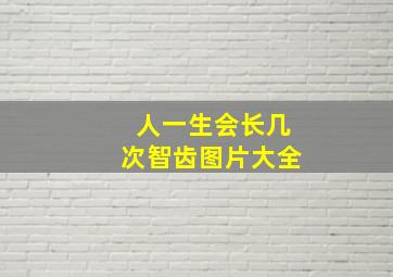 人一生会长几次智齿图片大全