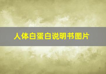 人体白蛋白说明书图片