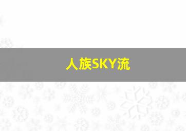 人族SKY流