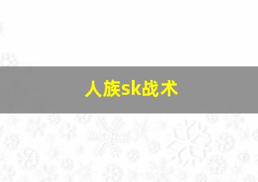 人族sk战术