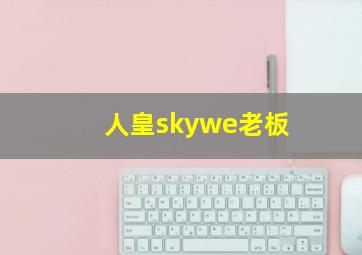 人皇skywe老板