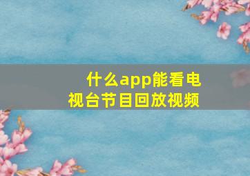 什么app能看电视台节目回放视频