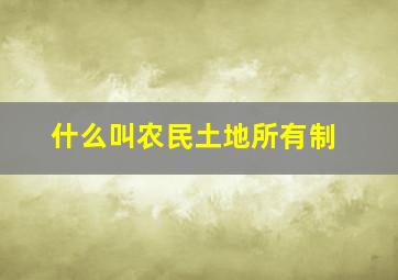 什么叫农民土地所有制