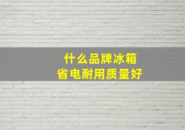 什么品牌冰箱省电耐用质量好