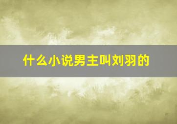 什么小说男主叫刘羽的