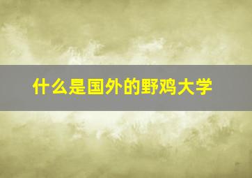 什么是国外的野鸡大学