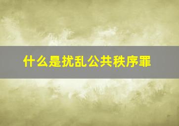 什么是扰乱公共秩序罪