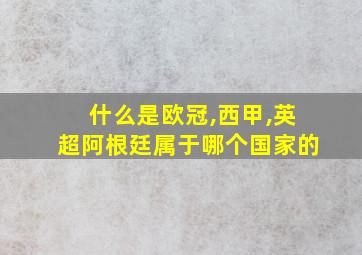 什么是欧冠,西甲,英超阿根廷属于哪个国家的