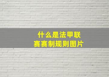 什么是法甲联赛赛制规则图片