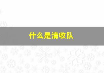 什么是清收队