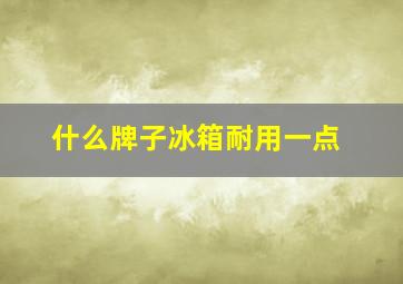 什么牌子冰箱耐用一点