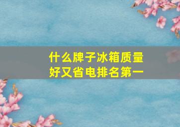 什么牌子冰箱质量好又省电排名第一