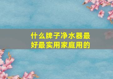 什么牌子净水器最好最实用家庭用的