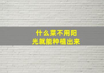 什么菜不用阳光就能种植出来