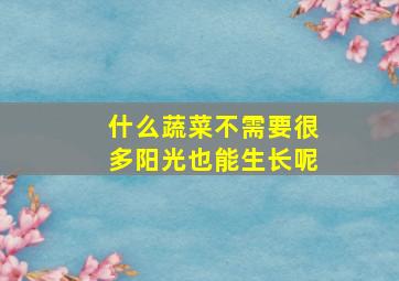 什么蔬菜不需要很多阳光也能生长呢