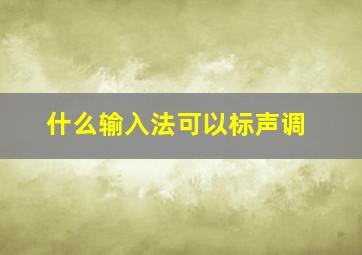 什么输入法可以标声调