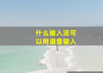 什么输入法可以用语音输入