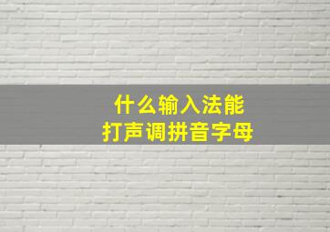 什么输入法能打声调拼音字母