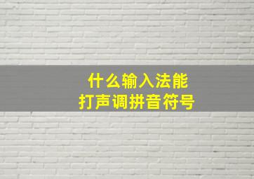 什么输入法能打声调拼音符号