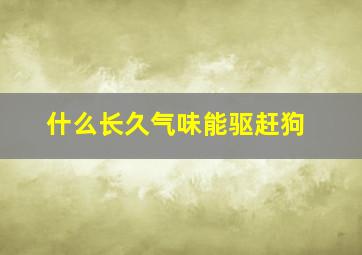 什么长久气味能驱赶狗