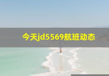 今天jd5569航班动态