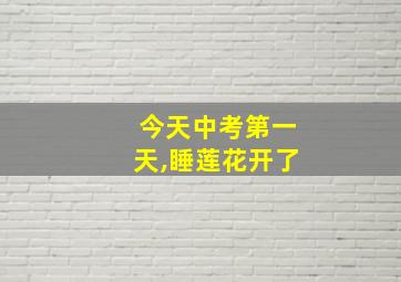 今天中考第一天,睡莲花开了