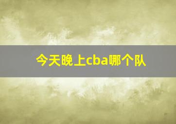 今天晚上cba哪个队