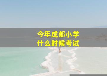 今年成都小学什么时候考试