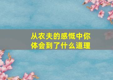 从农夫的感慨中你体会到了什么道理