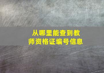 从哪里能查到教师资格证编号信息