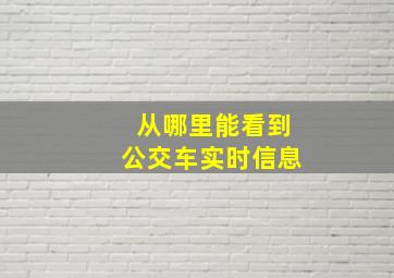 从哪里能看到公交车实时信息