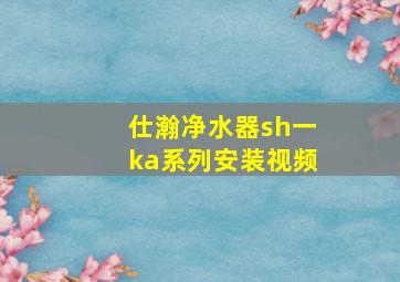 仕瀚净水器sh一ka系列安装视频