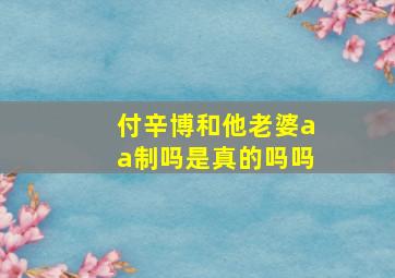 付辛博和他老婆aa制吗是真的吗吗