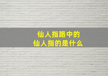 仙人指路中的仙人指的是什么