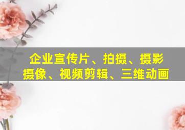 企业宣传片、拍摄、摄影摄像、视频剪辑、三维动画