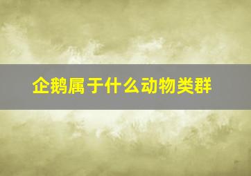 企鹅属于什么动物类群