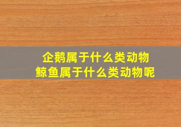 企鹅属于什么类动物鲸鱼属于什么类动物呢