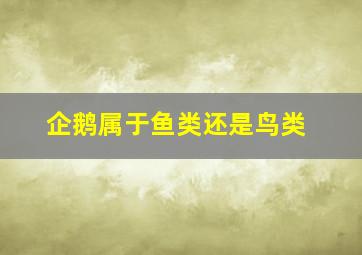 企鹅属于鱼类还是鸟类