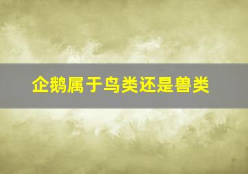 企鹅属于鸟类还是兽类