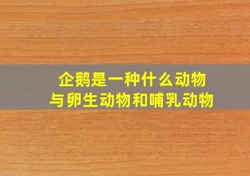 企鹅是一种什么动物与卵生动物和哺乳动物