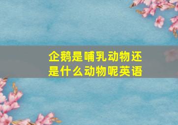 企鹅是哺乳动物还是什么动物呢英语