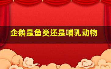 企鹅是鱼类还是哺乳动物