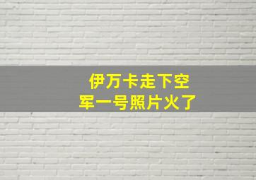 伊万卡走下空军一号照片火了