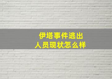 伊塔事件逃出人员现状怎么样