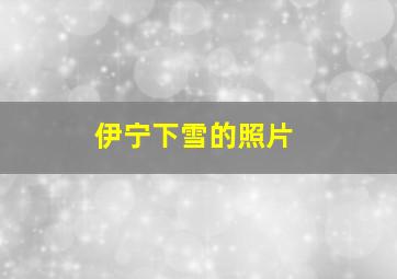 伊宁下雪的照片