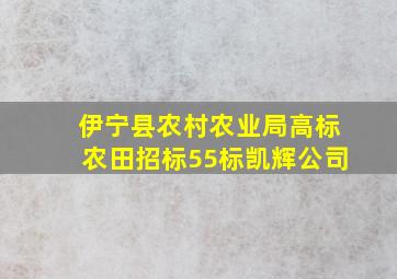 伊宁县农村农业局高标农田招标55标凯辉公司