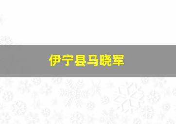 伊宁县马晓军