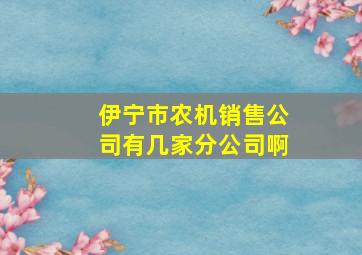 伊宁市农机销售公司有几家分公司啊