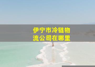 伊宁市冷链物流公司在哪里